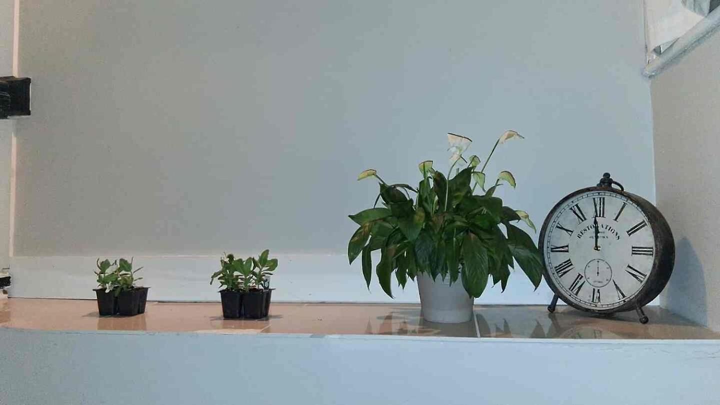 Apartment Cozy In Kew Gardens 20 Minutes To Midtown Manhattan *