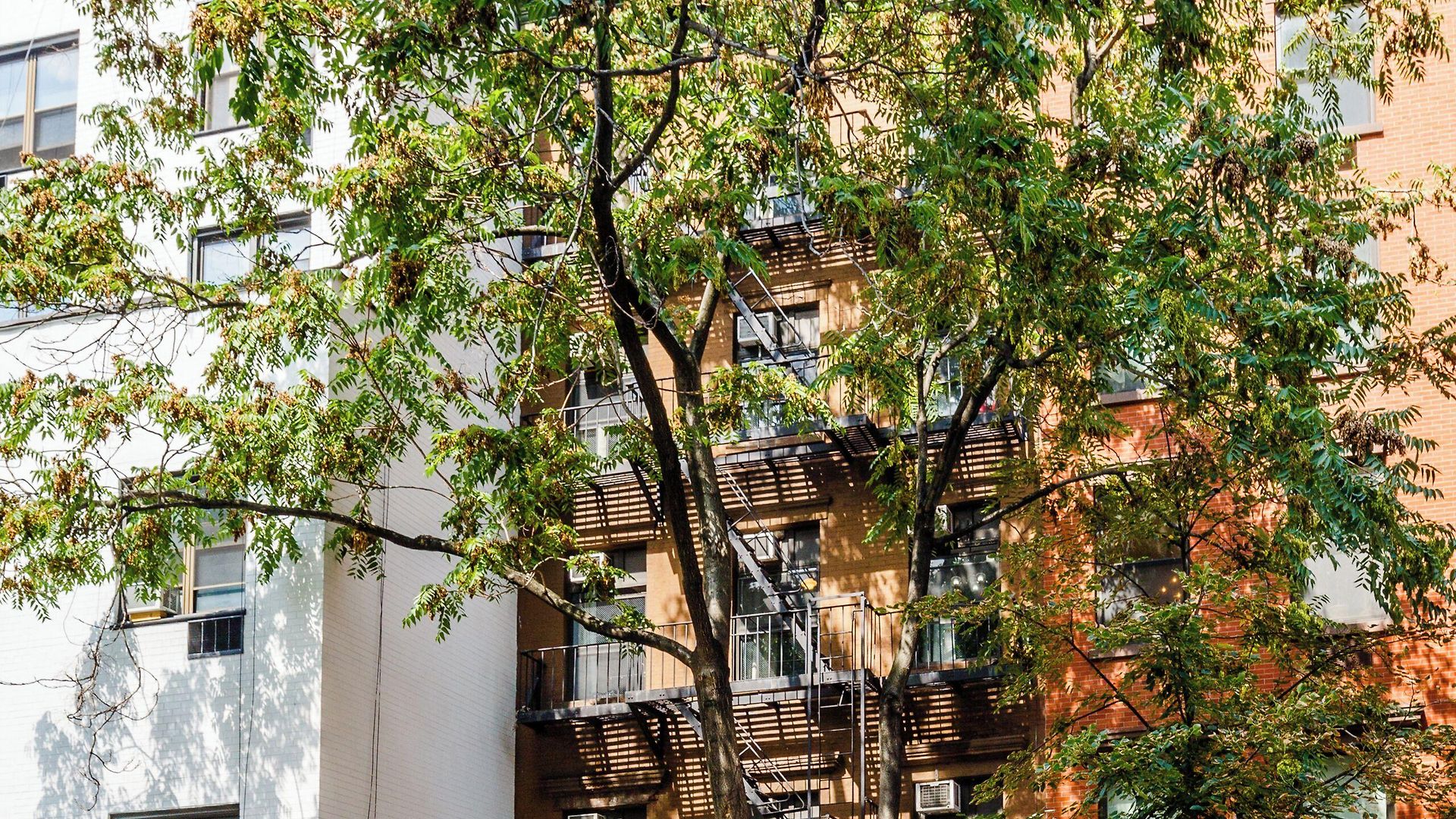 Lamartine Chelsea * New York