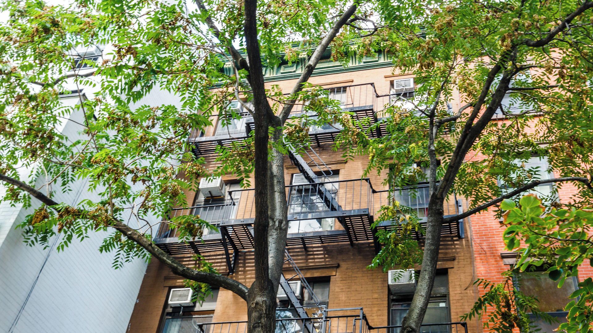 Lamartine Chelsea * New York