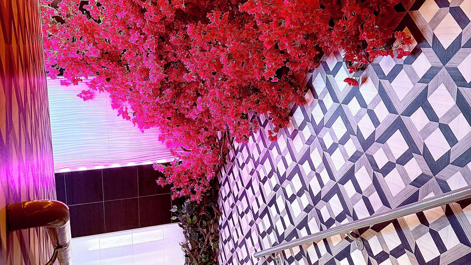 Umbrella Bronx Hotel *