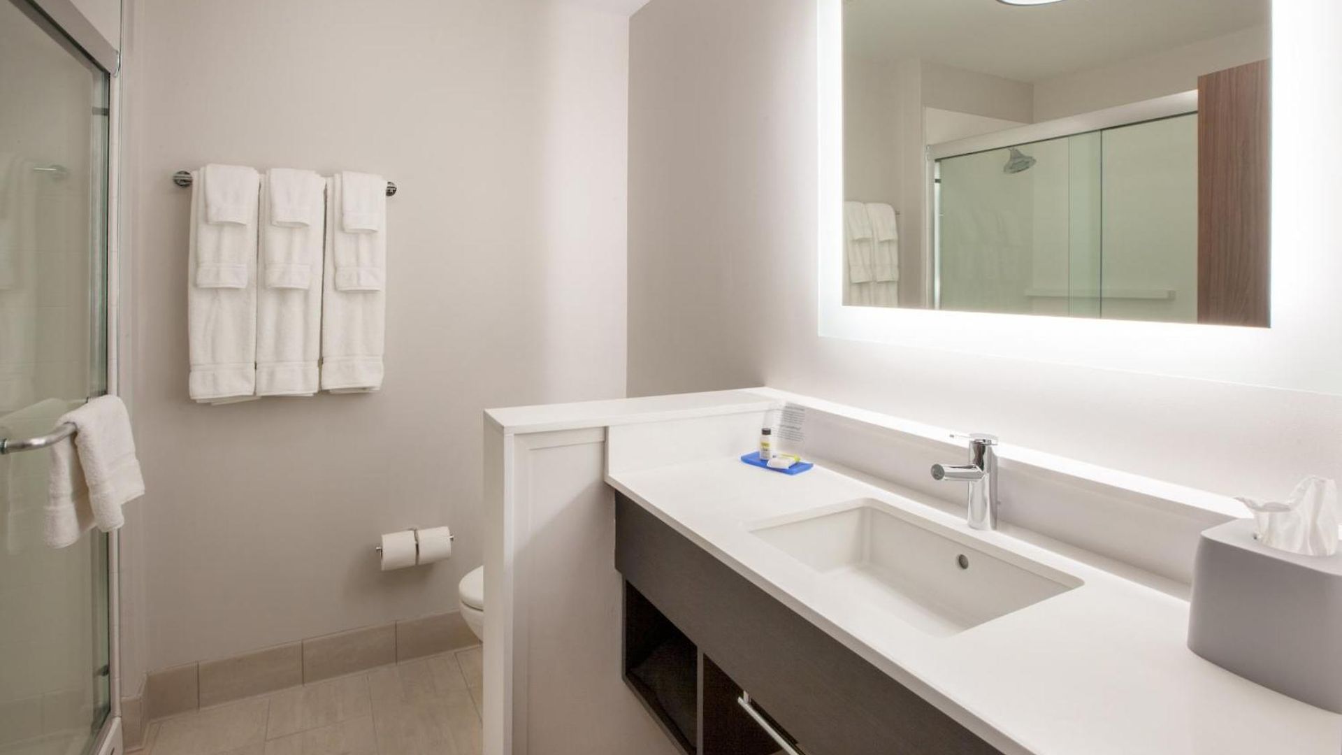Hotel Express - Nyc Brooklyn - Sunset Park By Ihg 3*