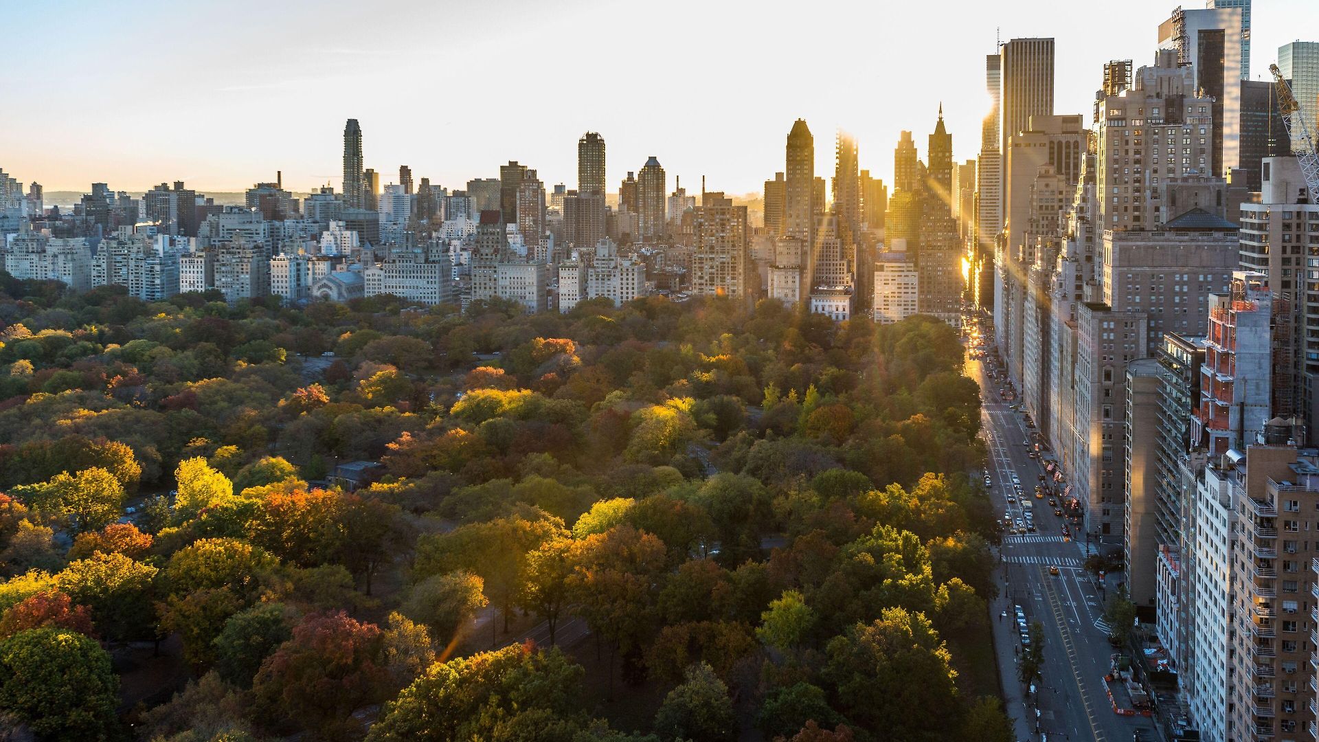 Hotel Thompson Park New York, By Hyatt