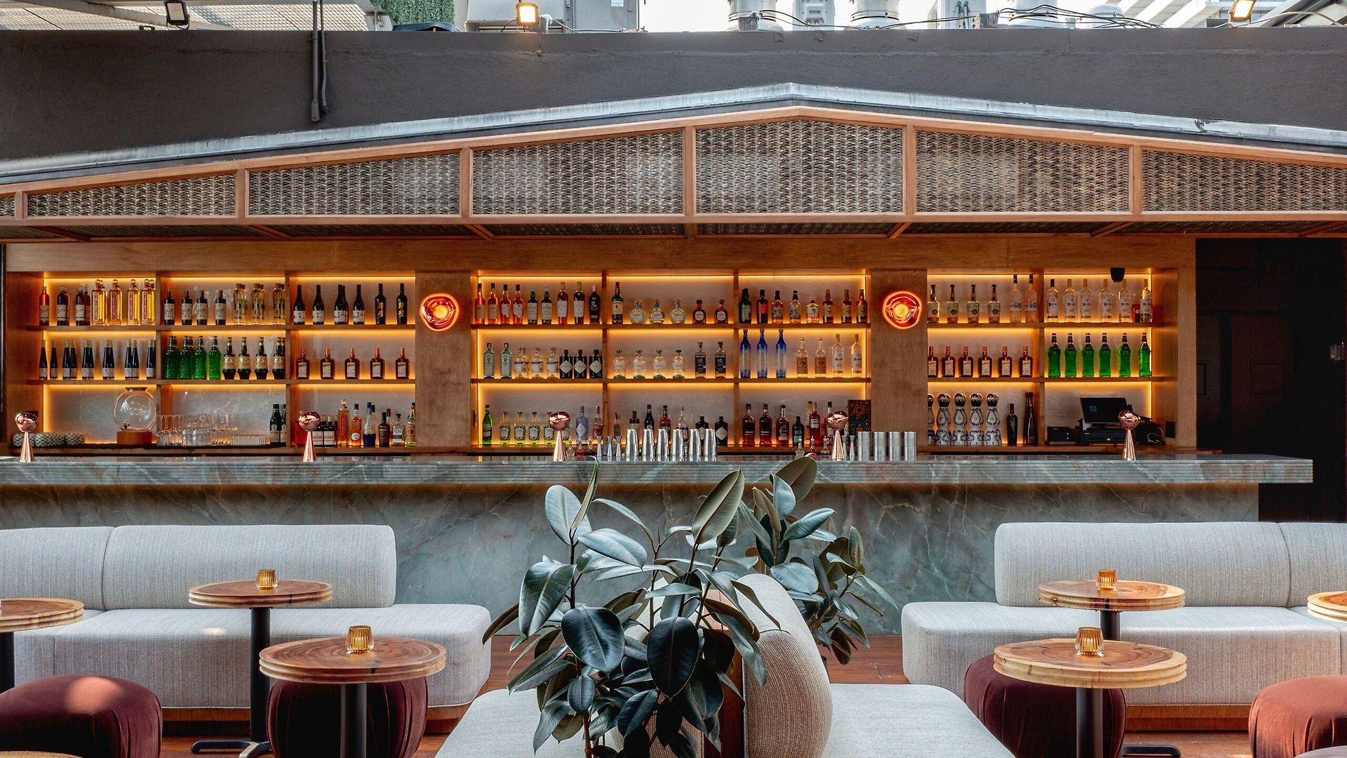 Coda Williamsburg
