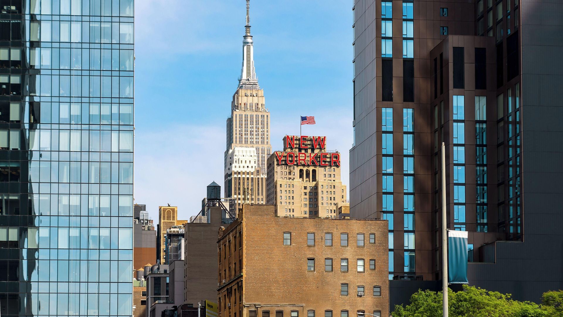 New Yorker By Lotte