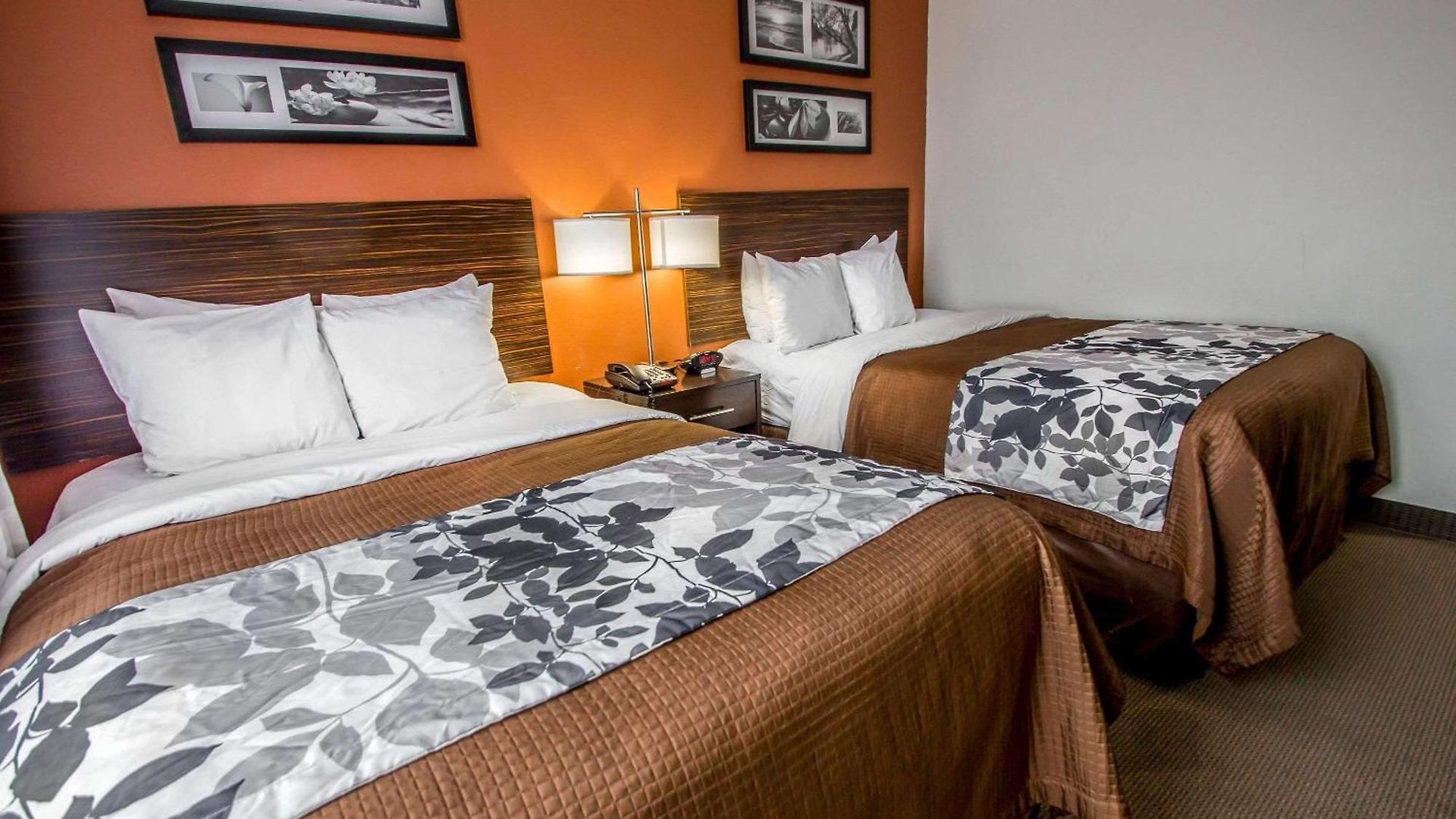 Inn Sleep Jfk Airport Rockaway Blvd