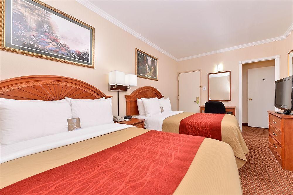 Hotel Comfort Chelsea 2*