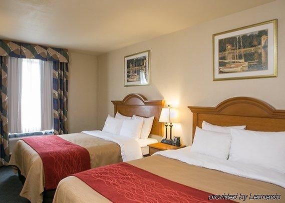 Comfort Jfk Airport Hotel New York