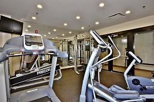 Hilton Jfk Airport Hotel 3*