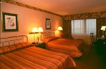 Hotel Hilton Jfk Airport New York