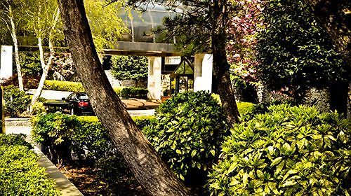 Hotel Garden & - Jfk