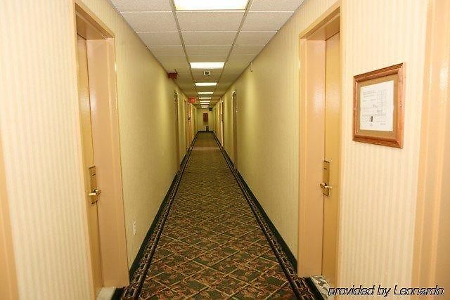 Jfk Hotel New York