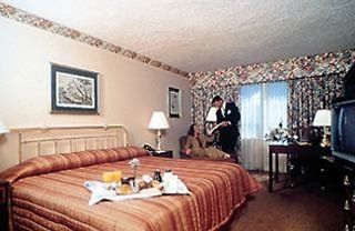 Hilton Jfk Airport