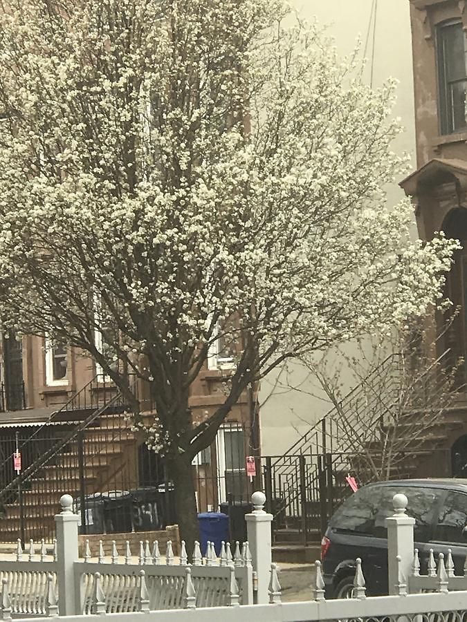 Townhouse On Greene * New York