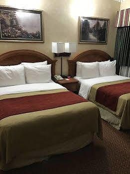 Comfort Chelsea