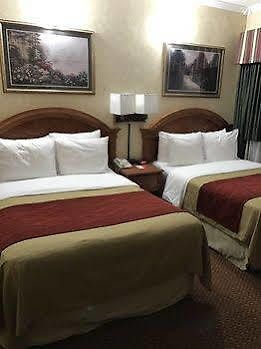 Hotel Comfort Chelsea