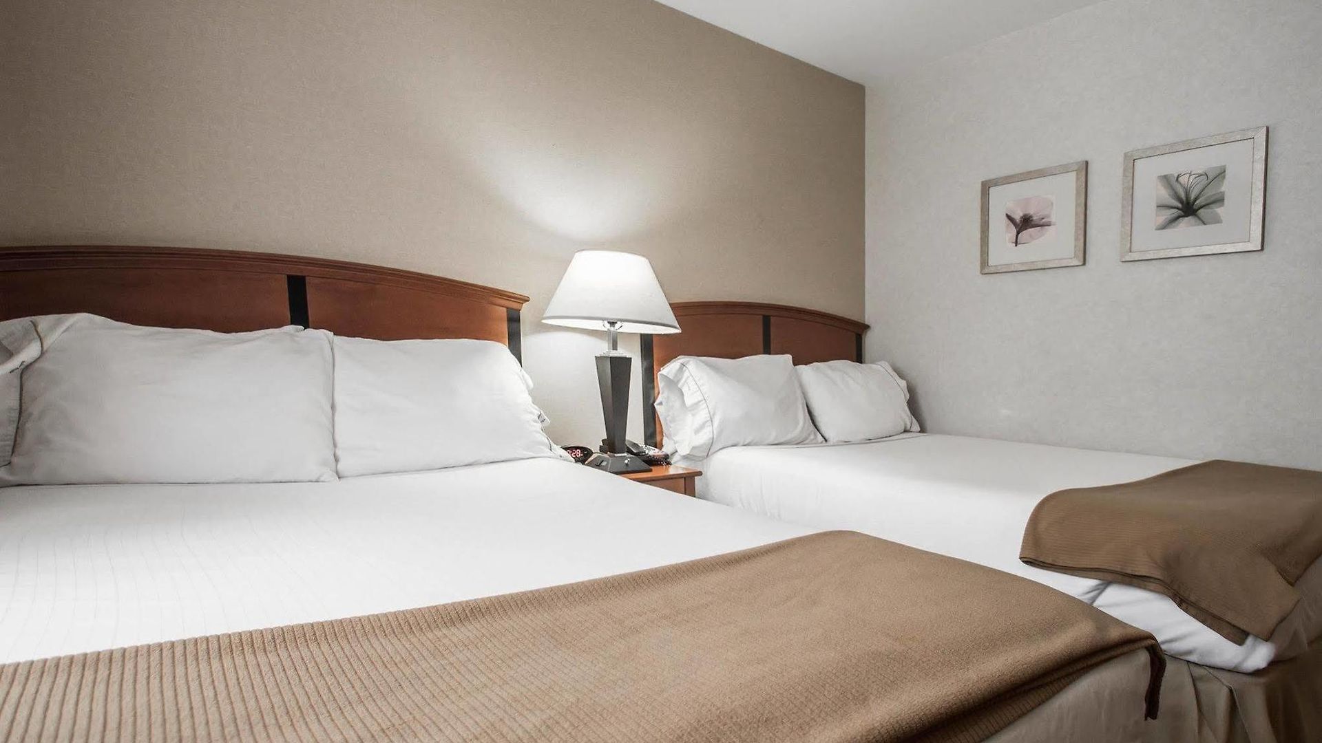 Red Lion And Brooklyn Hotel New York