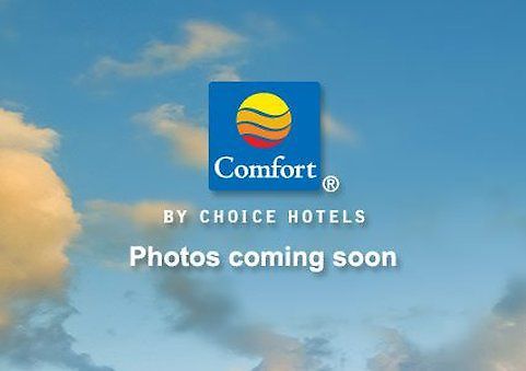 Comfort Near Barclays Center - Crown Heights 2* New York