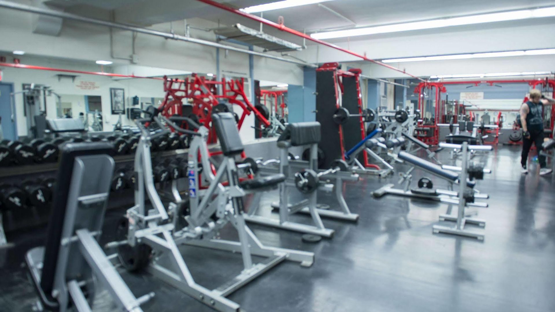 Greenpoint Ymca Brooklyn