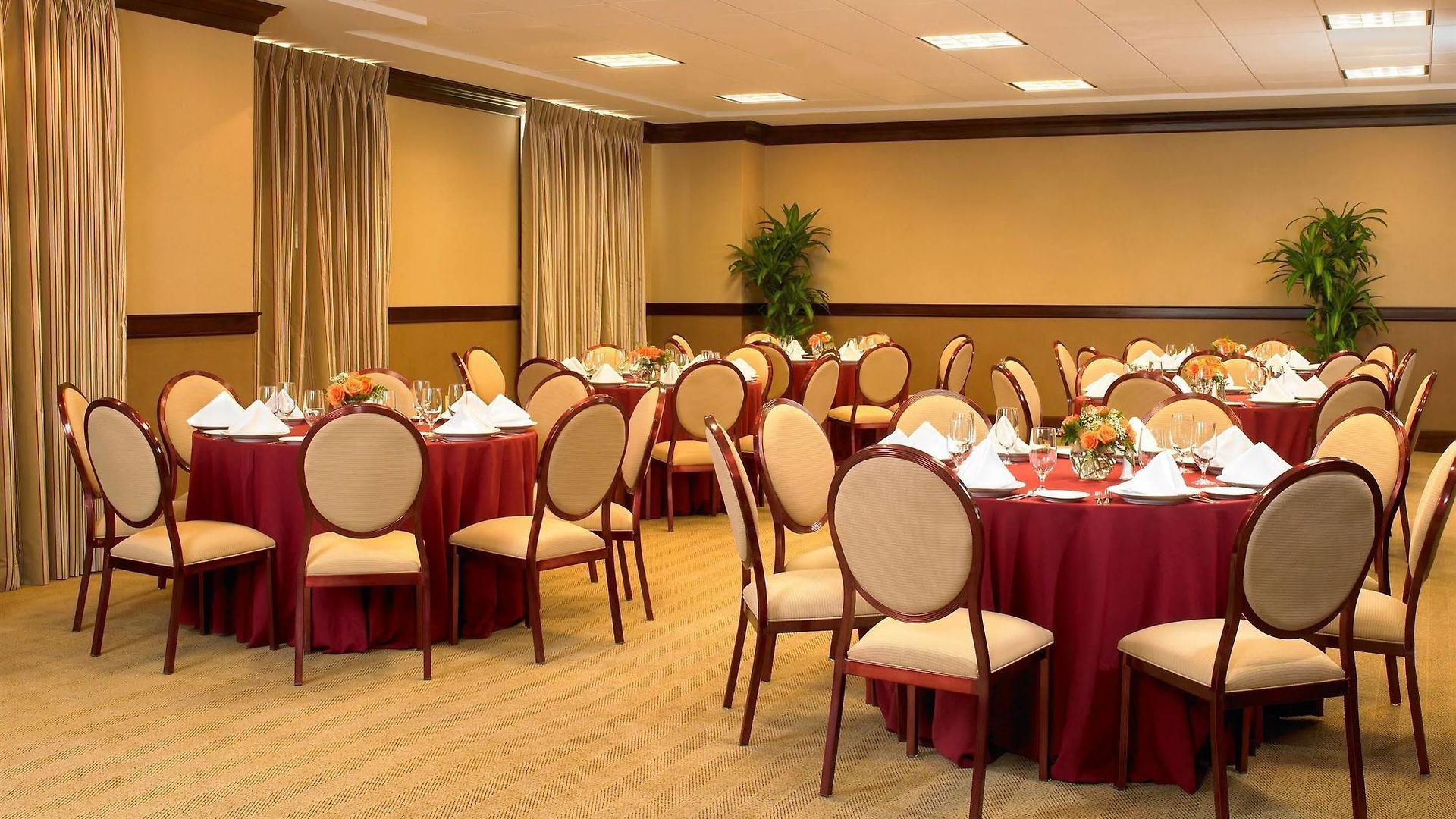 Sheraton Jfk Airport Hotel