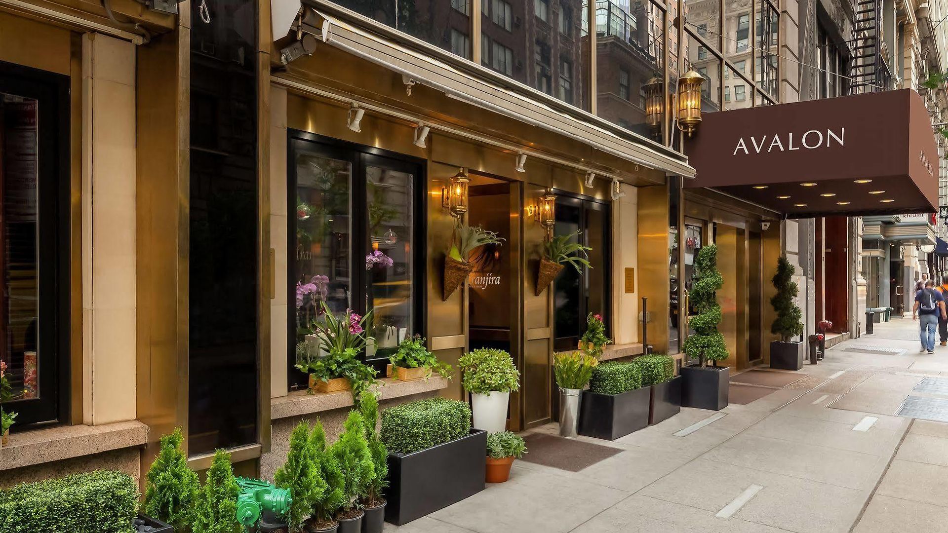 Avalon 4* New York