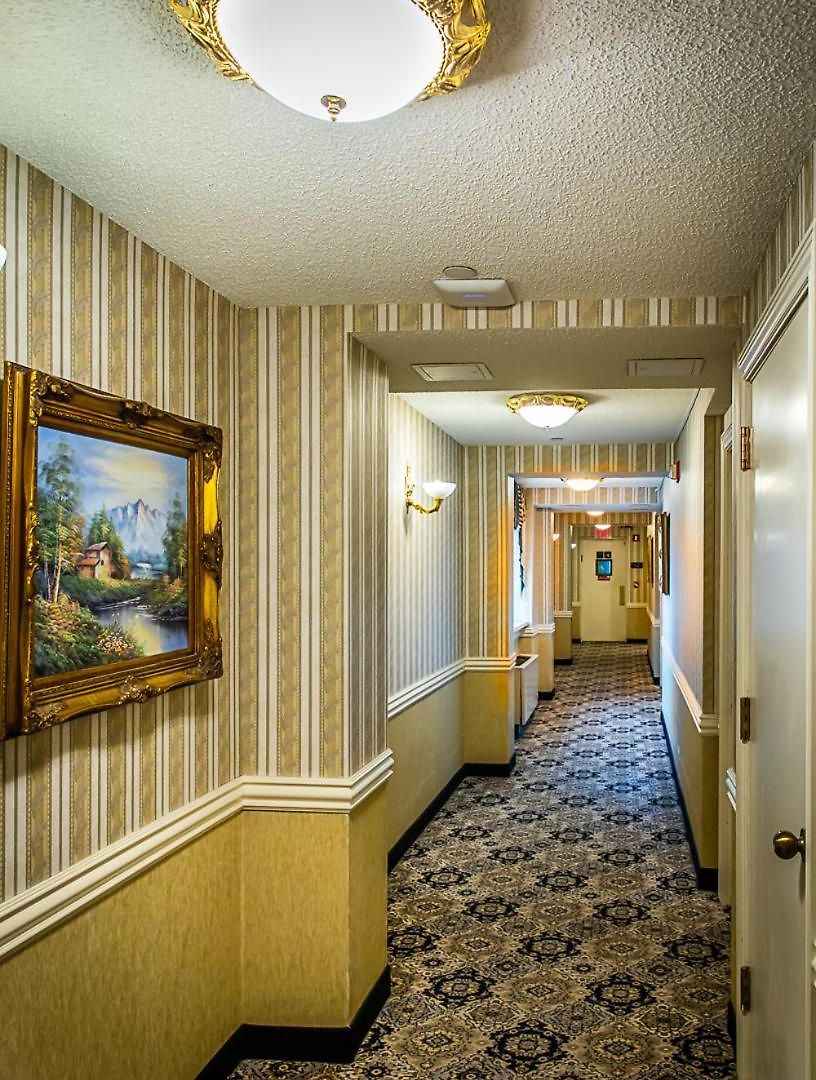 The Avenue Plaza 3*
