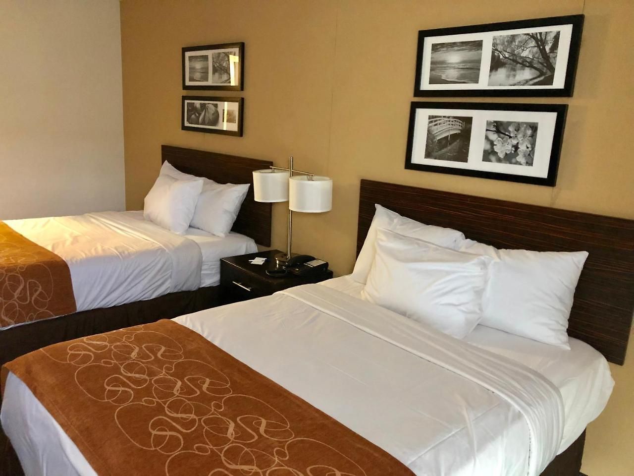 The Vue Brooklyn 2*