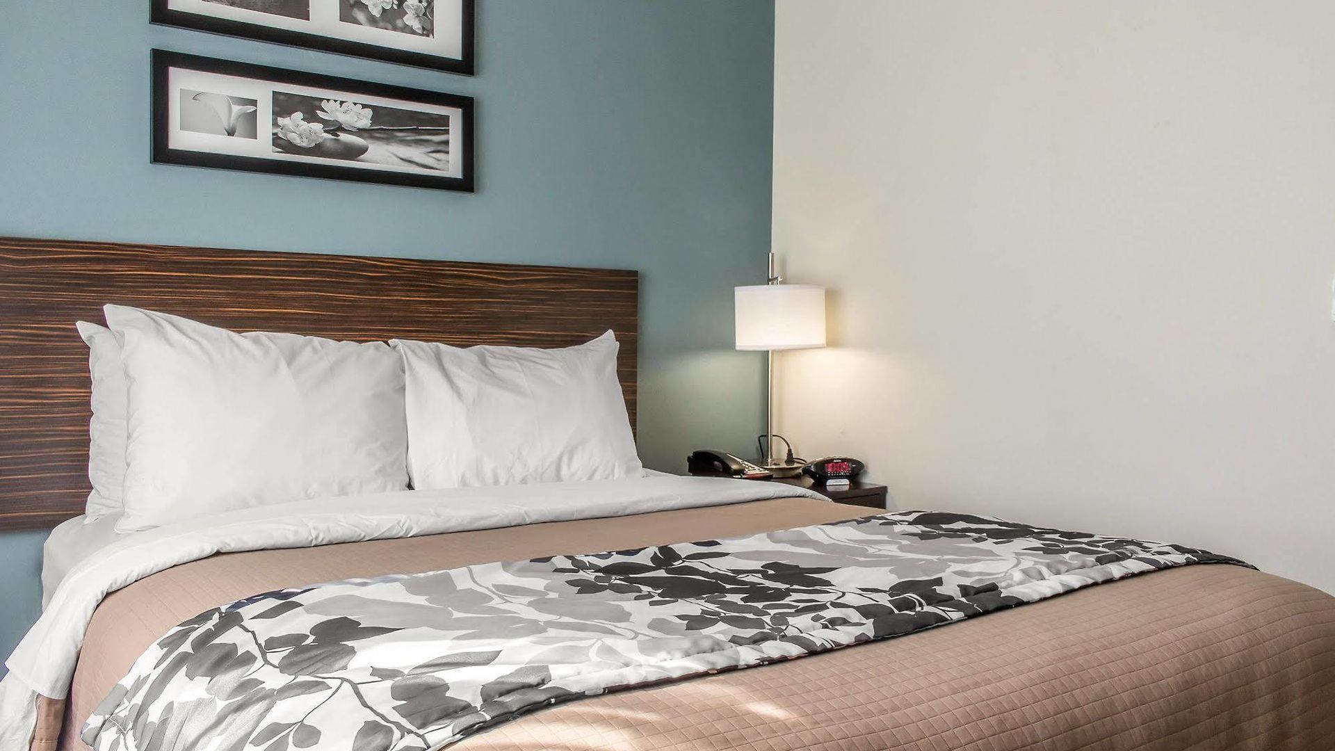 Sleep Brooklyn Coney Island Hotel
