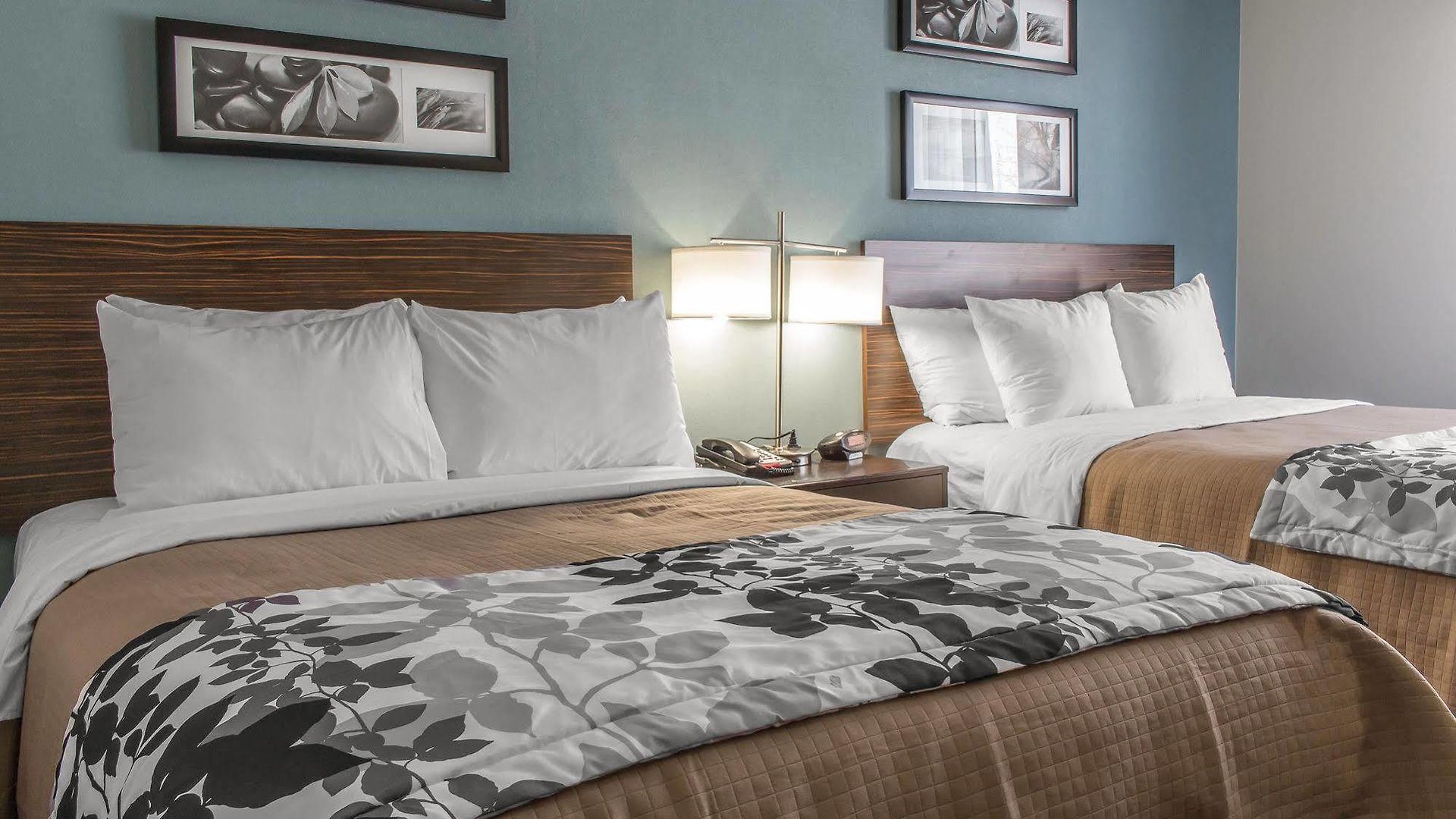 Sleep Brooklyn Coney Island Hotel 3*