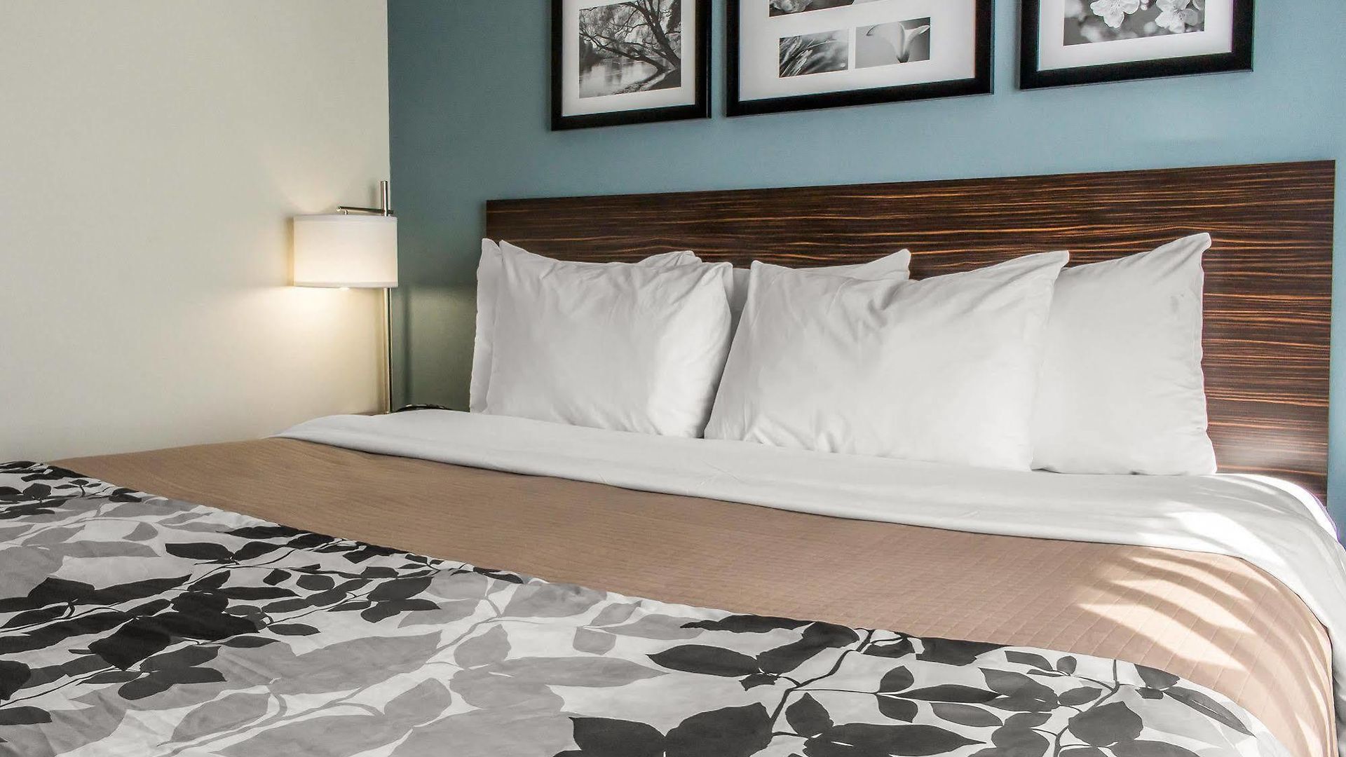 Hotel Sleep Brooklyn Coney Island New York