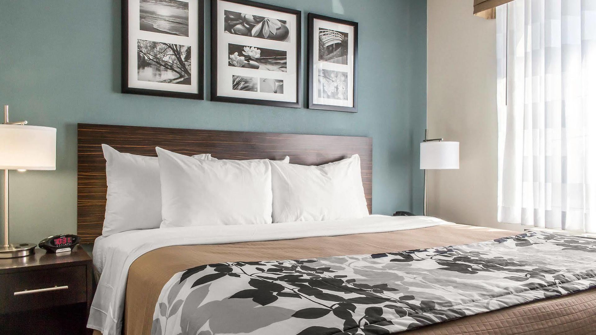 Hotel Sleep Brooklyn Coney Island New York