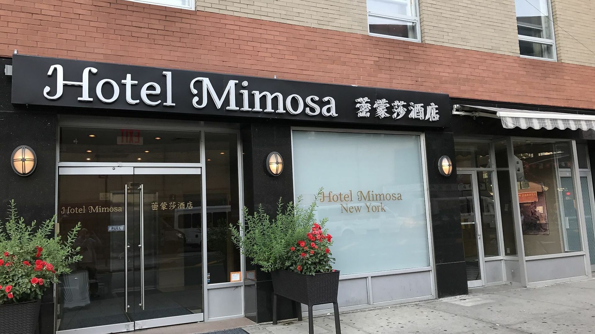 Hotel Mimosa