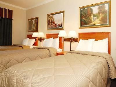 Comfort Chelsea New York