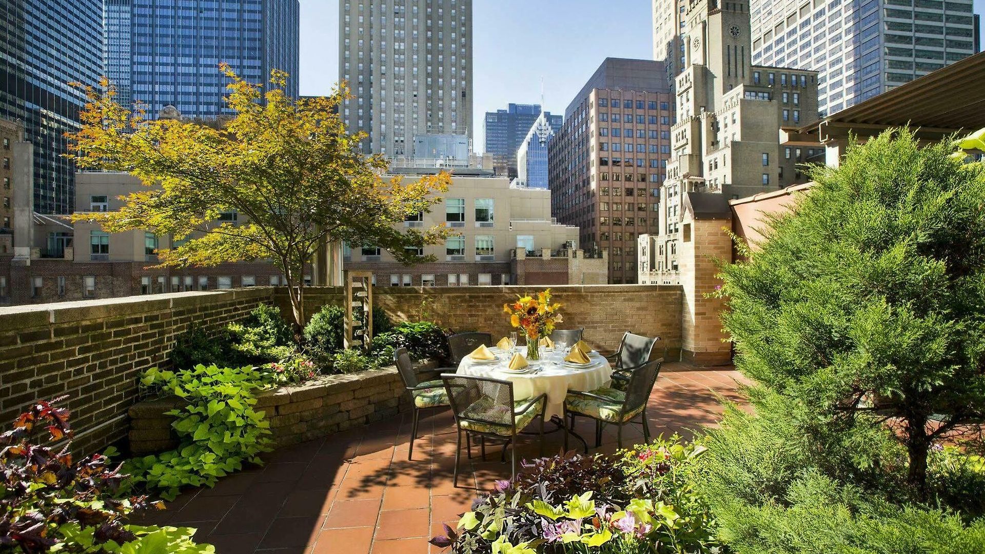 San Carlos 4* New York