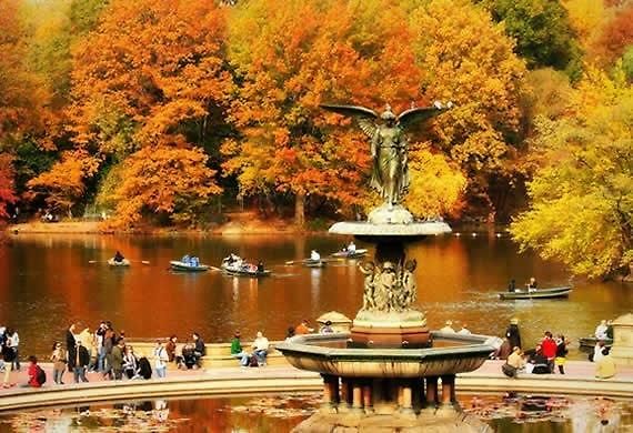 Nycth Private New York