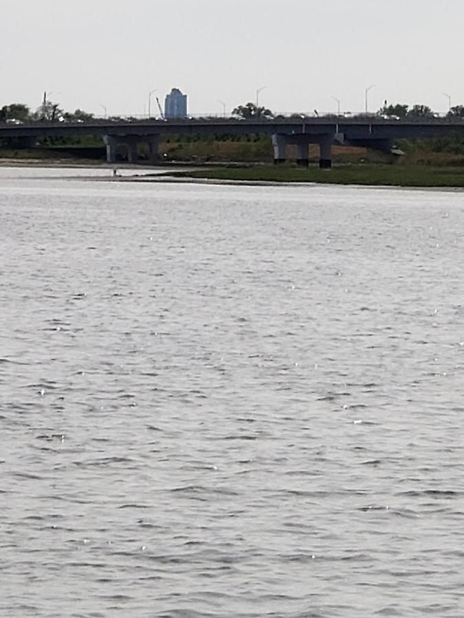 Guest house At The Water's Edge In Canarsie!