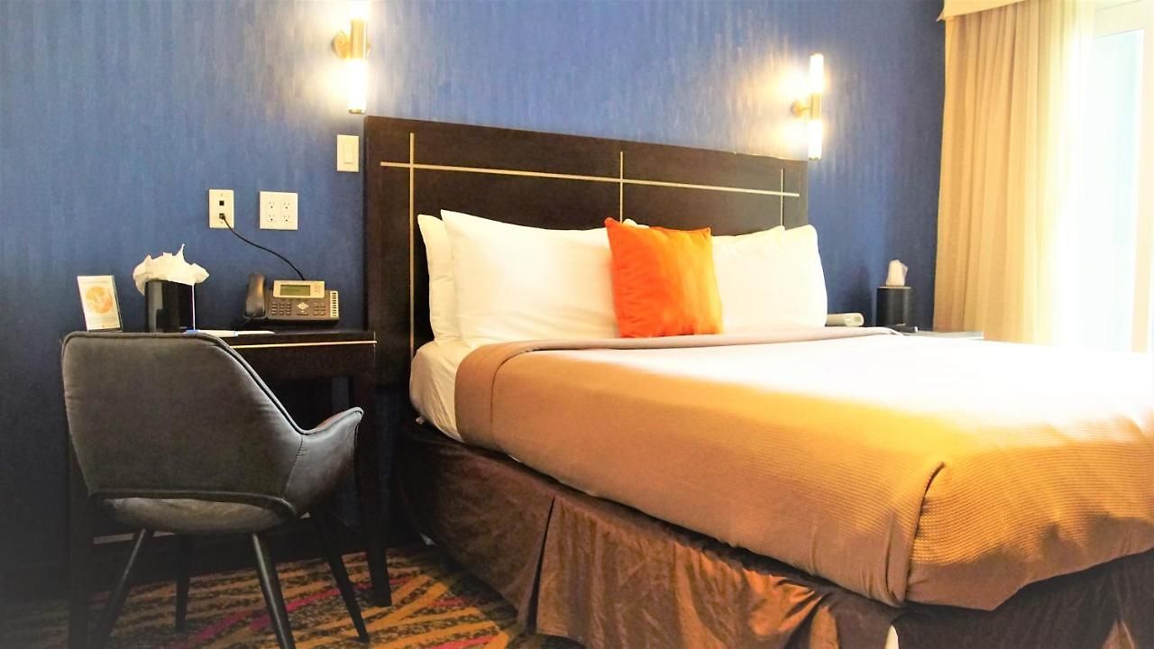 Nesva - Vista (adults Only) New York