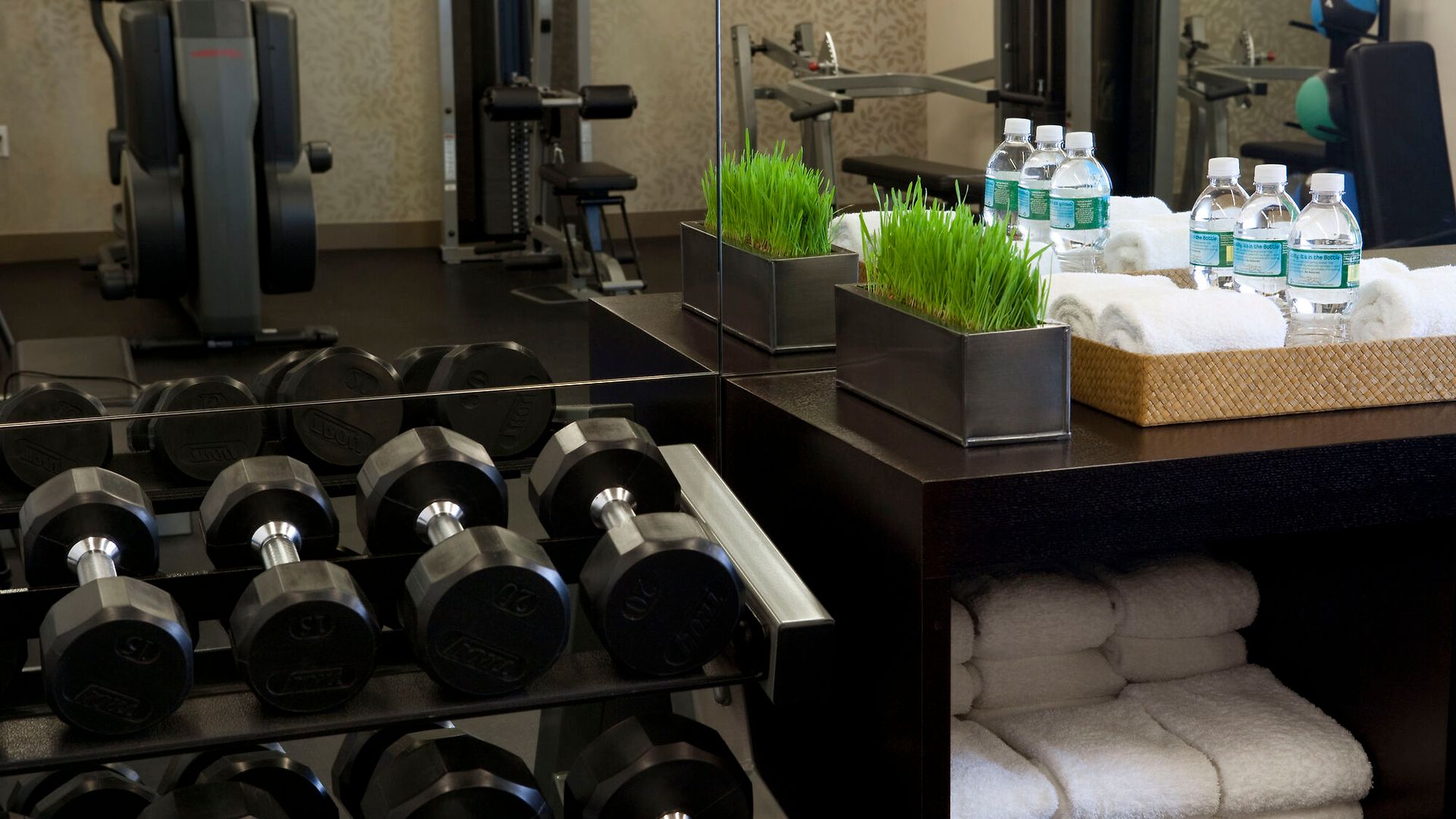 Hotel The Shelburne Sonesta 4*