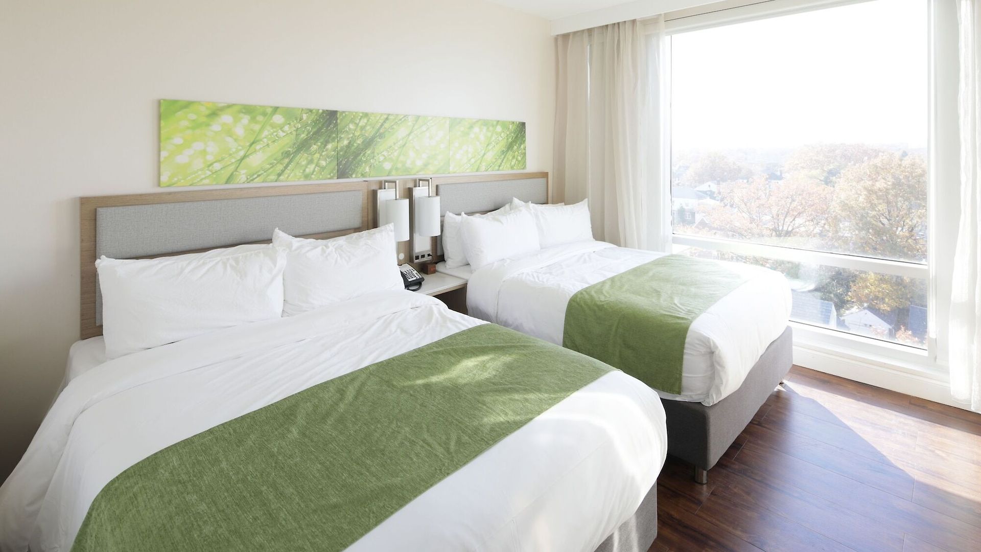 Hotel Wyndham Garden Fresh Meadows Flushing 3*