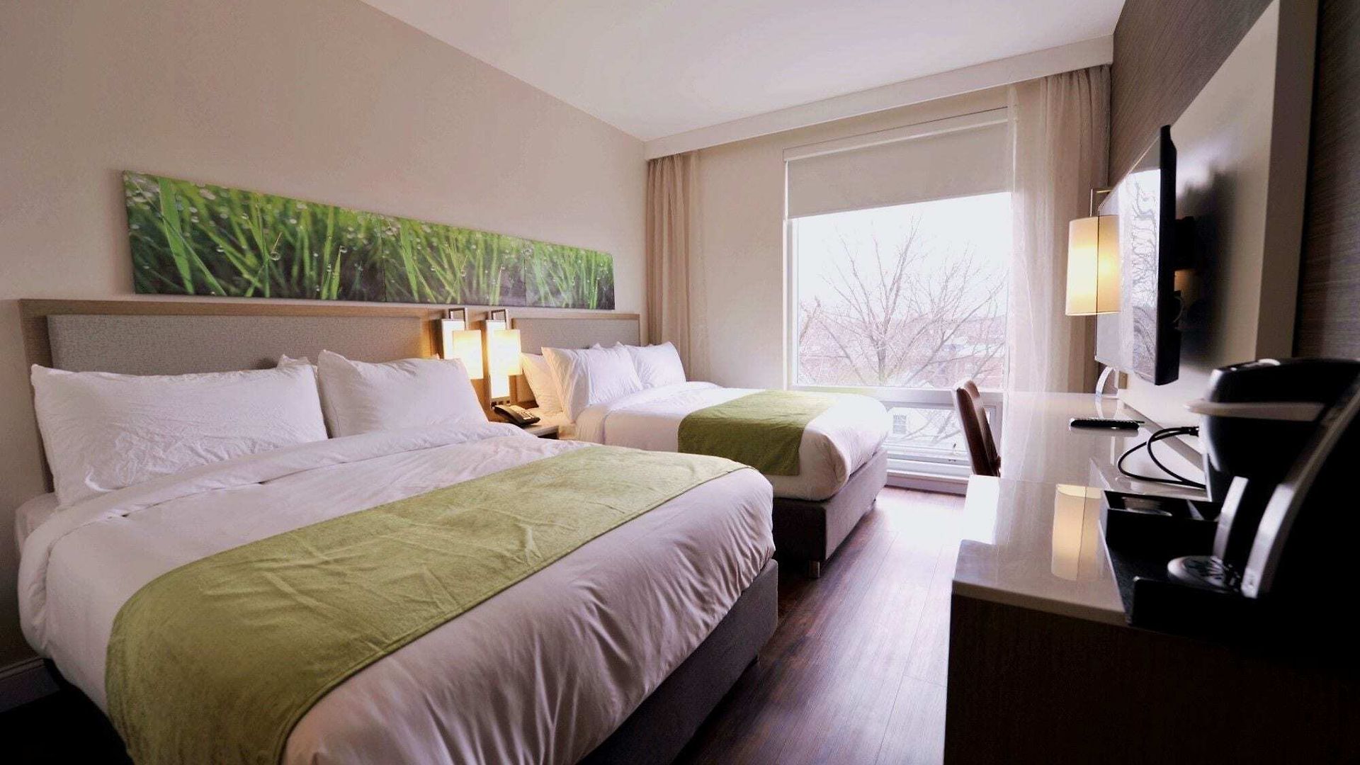 Hotel Wyndham Garden Fresh Meadows Flushing 3*