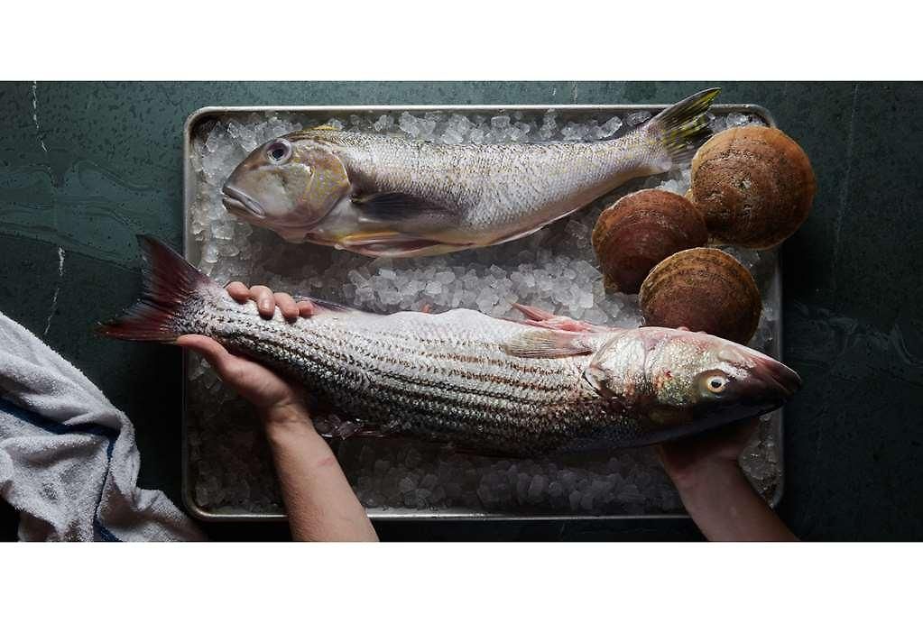 Franklin New York
