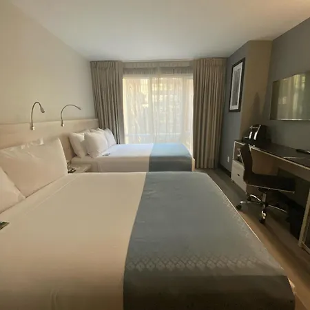 Wingate By Wyndham Midtown South/5th Ave New York