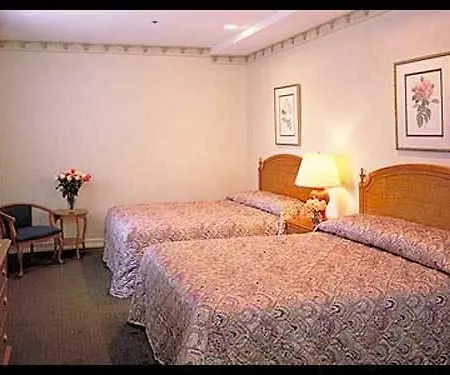 The At 3*