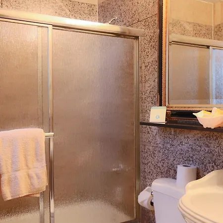 Hotel Da Vinci New York
