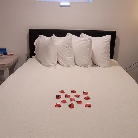 A Simple Studio - Jfk Abt 5mi Guest house New York