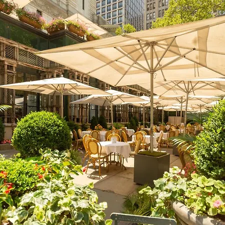 Hyatt Centric Midtown 5th Avenue 4*