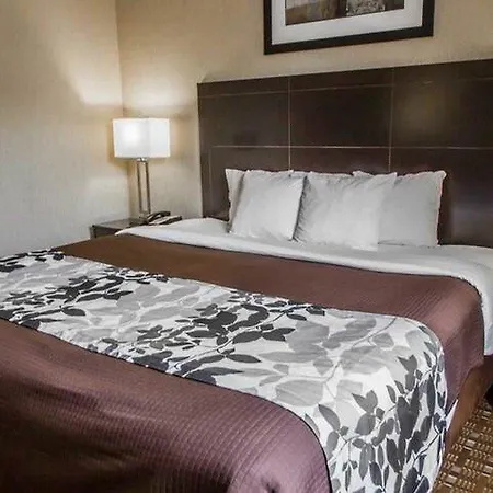 Hotel Sleep Brooklyn Downtown