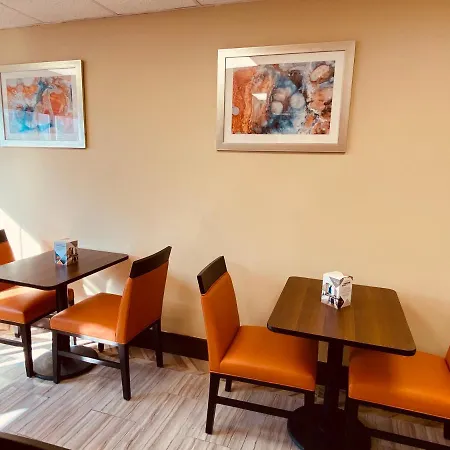 Surface Brooklyn (adults Only) 3*
