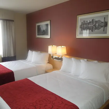 Luxe Ny New York