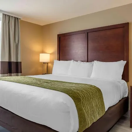 Manhattan View Hotel 4*