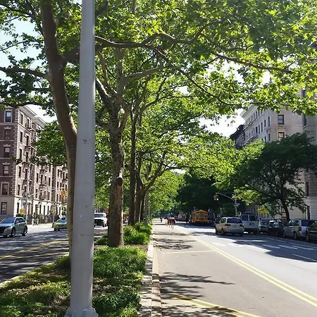 The Park North